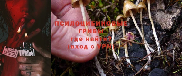 сатива Богородск