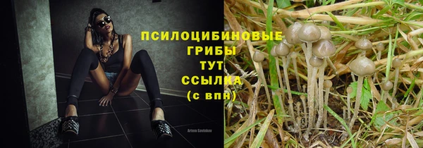 альфа пвп Богородицк