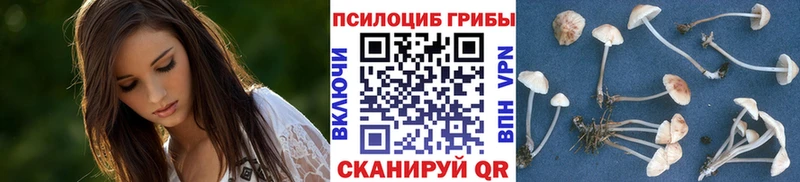 Галлюциногенные грибы прущие грибы  закладка  Томск 
